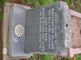 image of grave number 692398